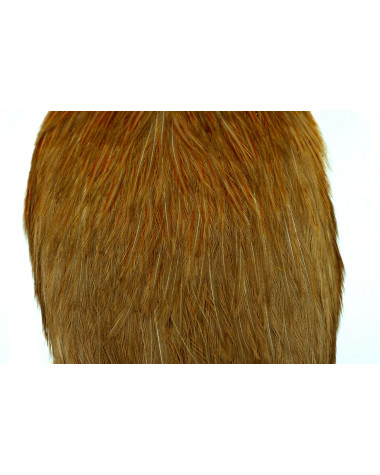 AMERICAN ROOSTER CAPE TAN 